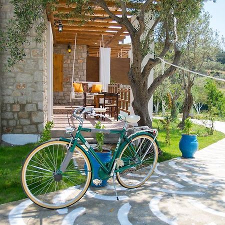 To Stolidi Tis Psinthou Villa Psinthos Екстериор снимка