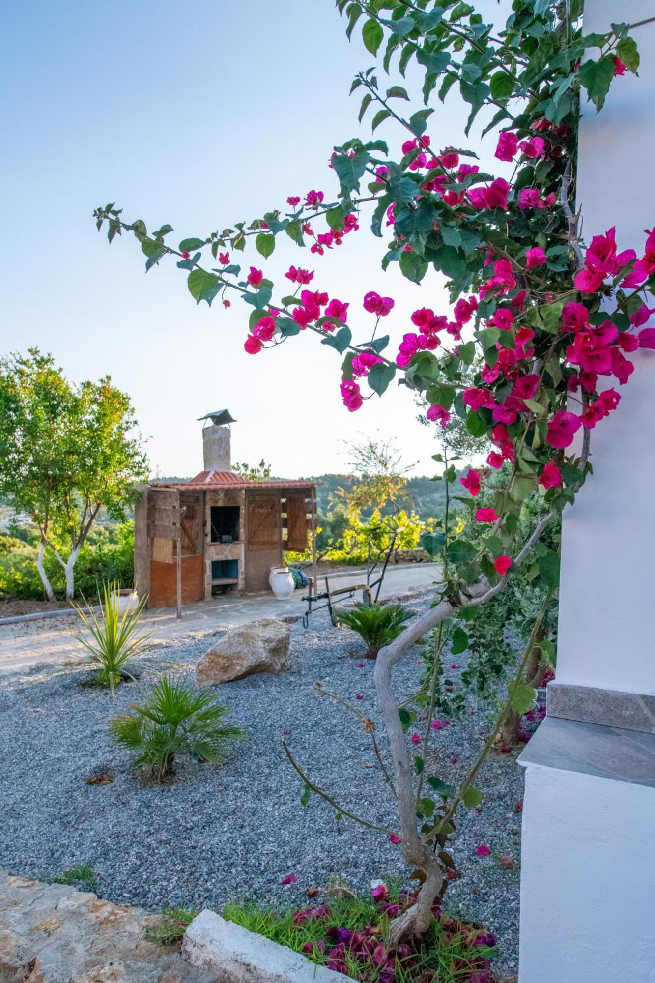 To Stolidi Tis Psinthou Villa Psinthos Екстериор снимка