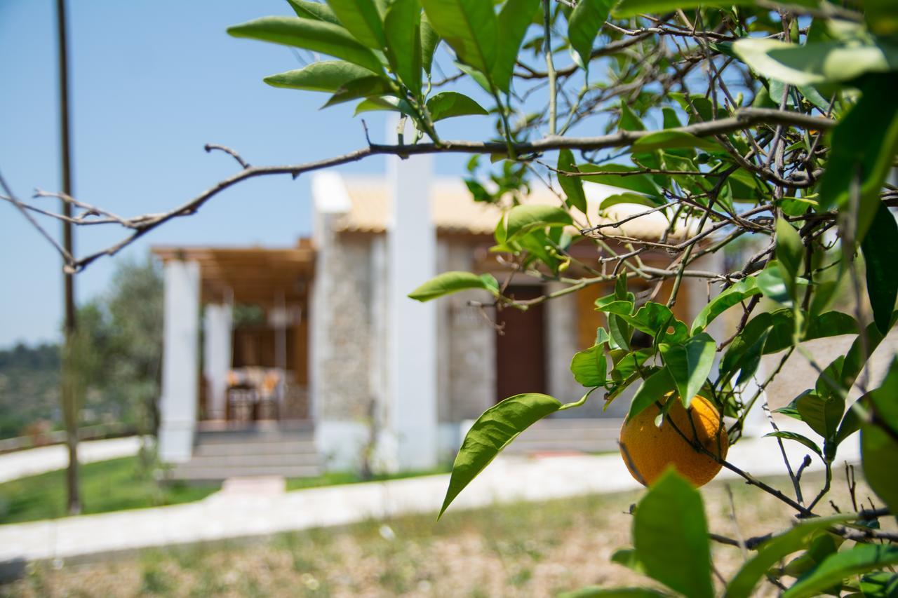 To Stolidi Tis Psinthou Villa Psinthos Екстериор снимка